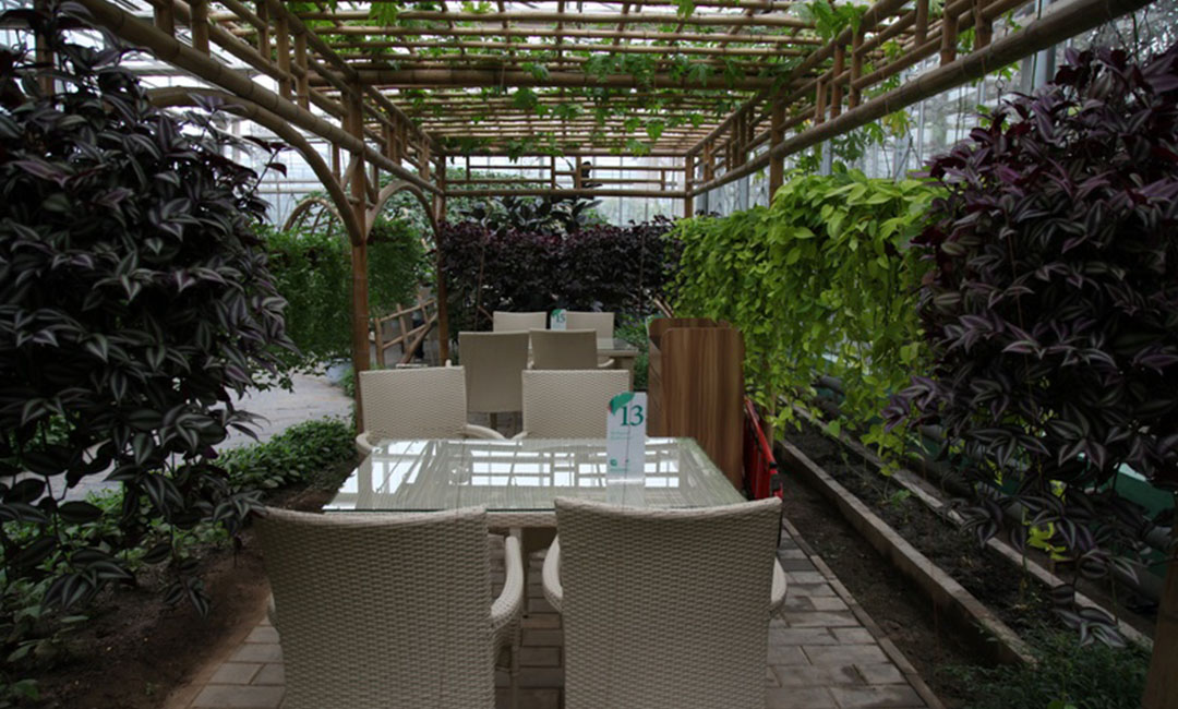 涪陵康柏宇品牌文案撰写案例